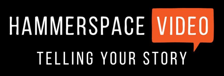 Hammerspace Video Logo